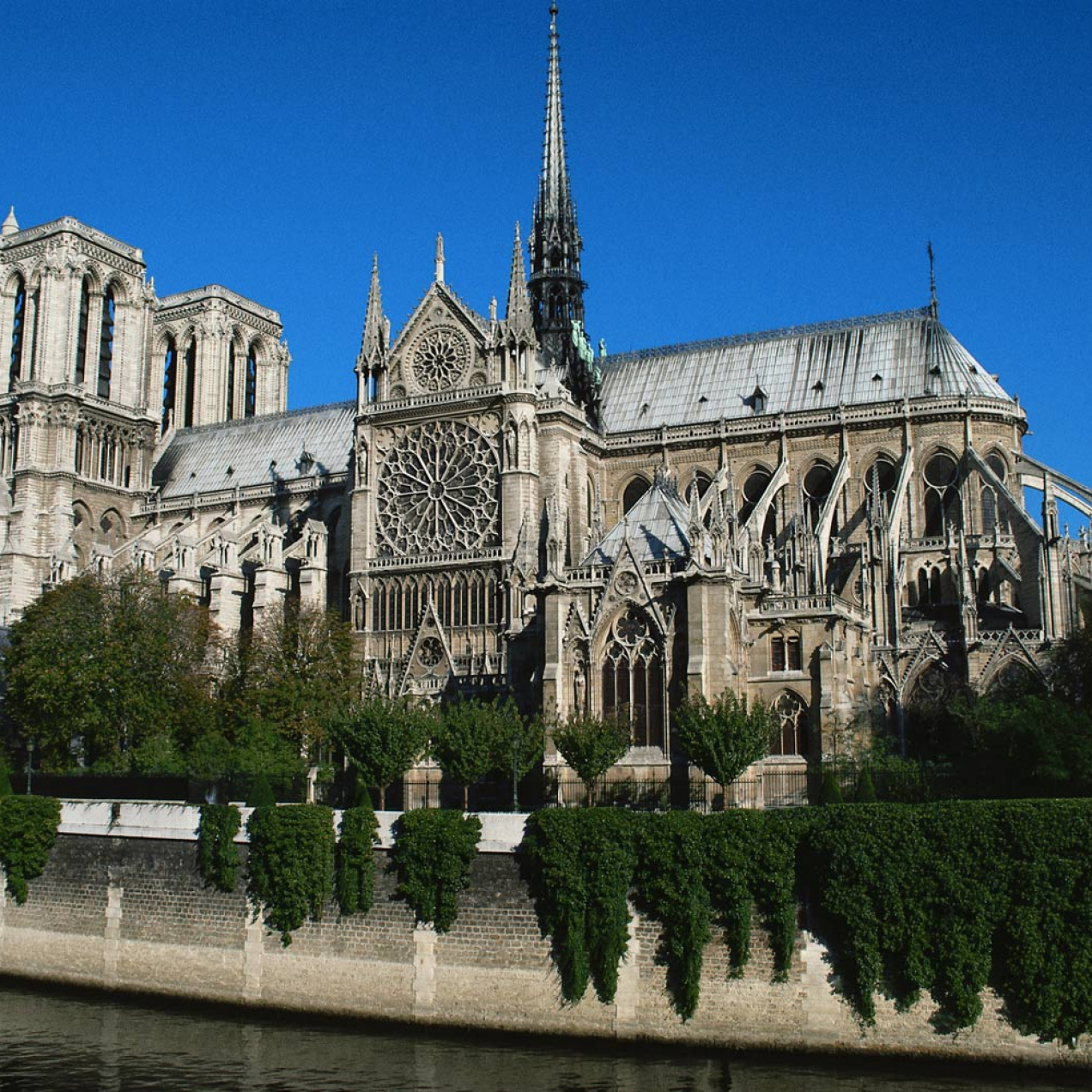 Notre-Dame de Paris s’offre en spectacle du 8 au 11 novembre 2017